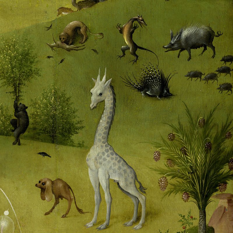 Detail: a giraffe